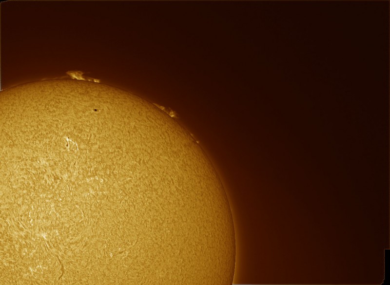Sun 40mm Coronado.jpg