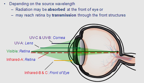 eye-light-interaction.png