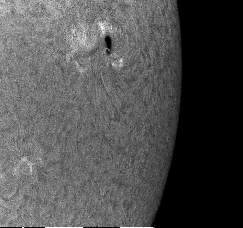 July15_2017SunspotOnLimb2.JPG