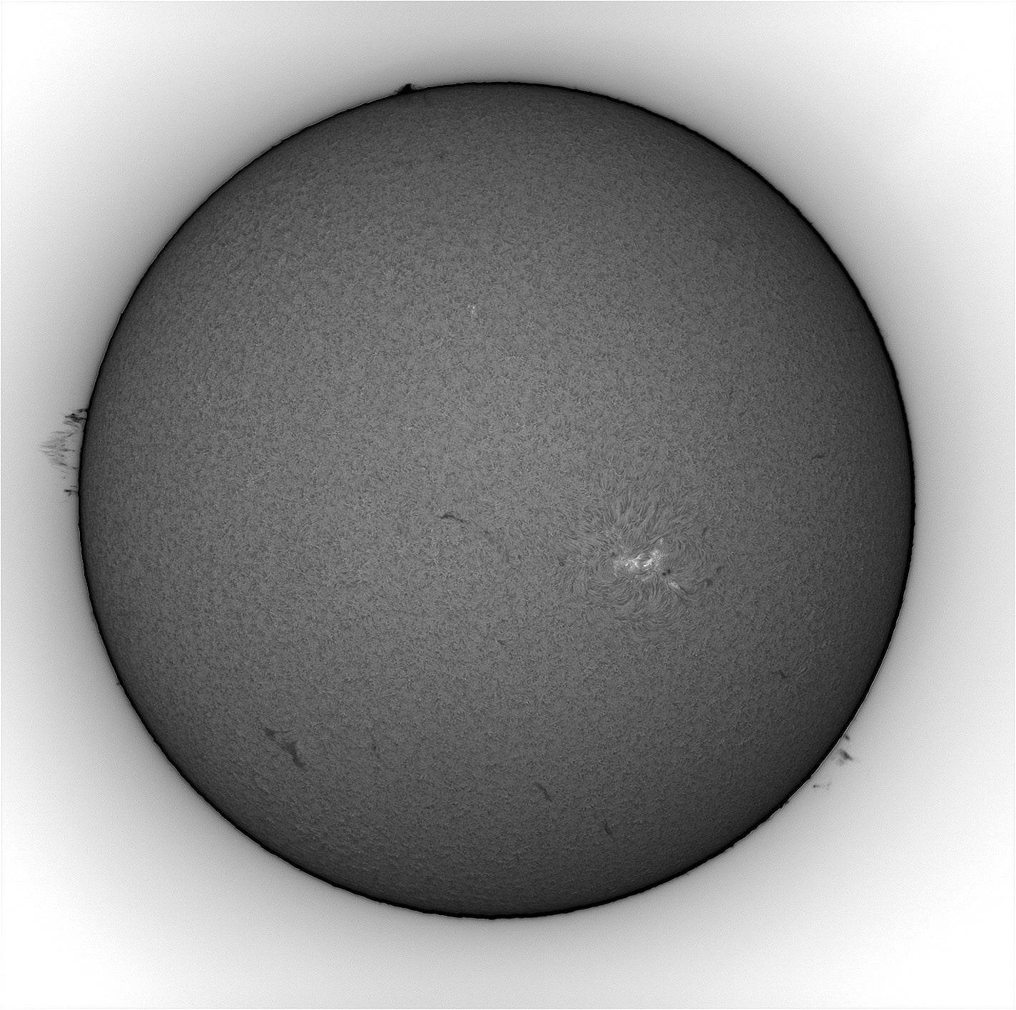 Positive disk and negative limb