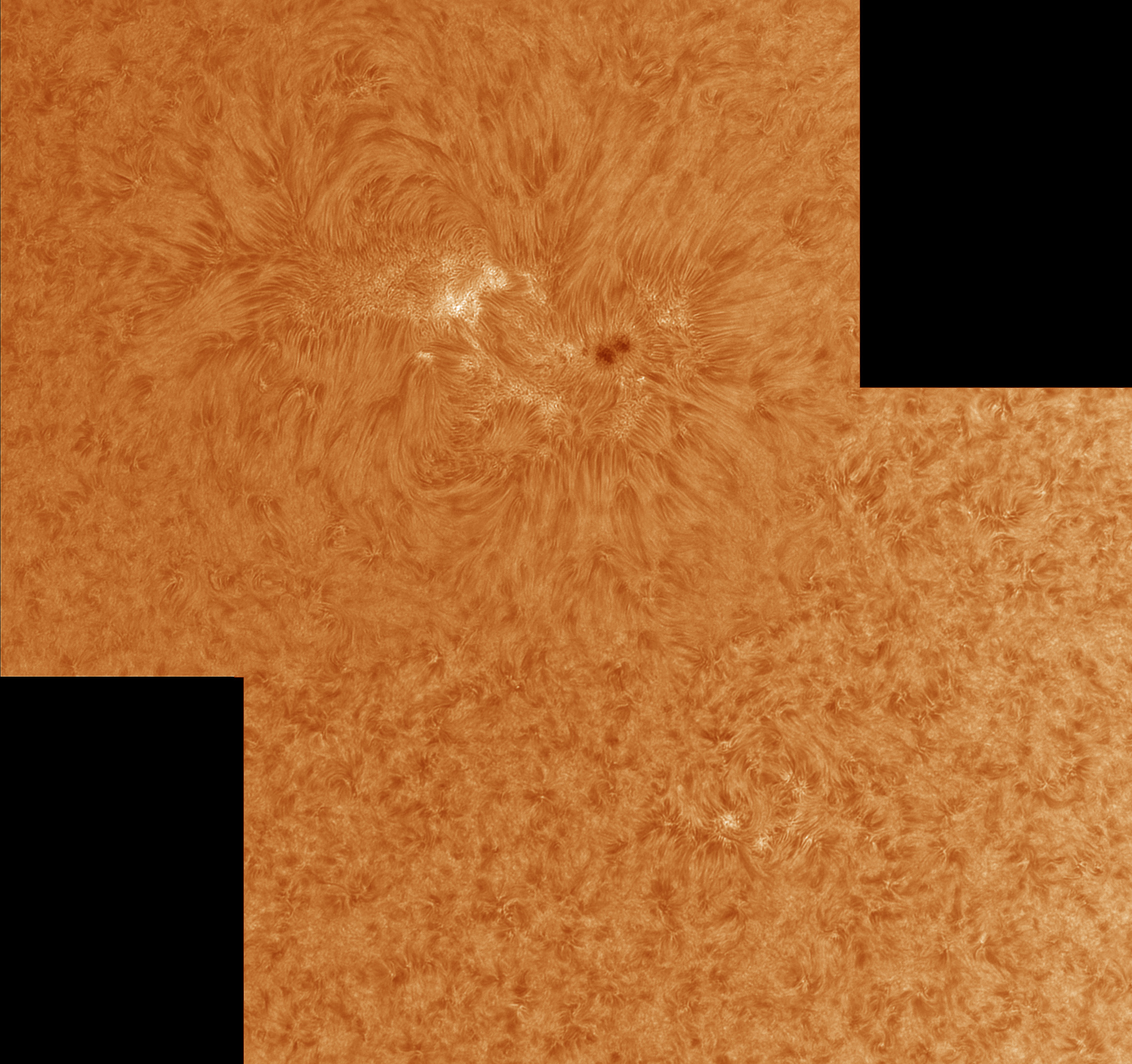 AR2706-Ha-fc.jpg