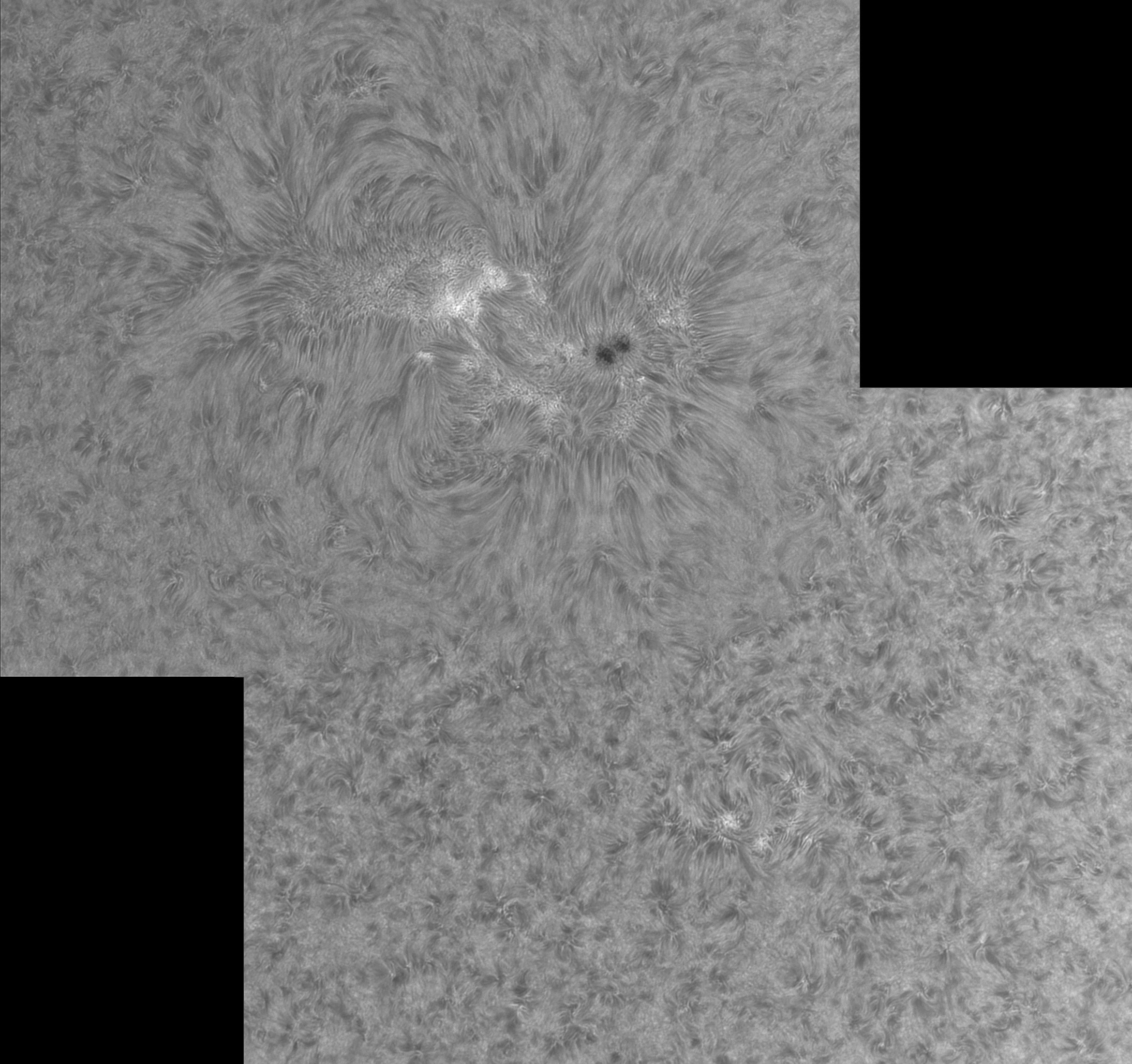 AR2706-Ha.jpg