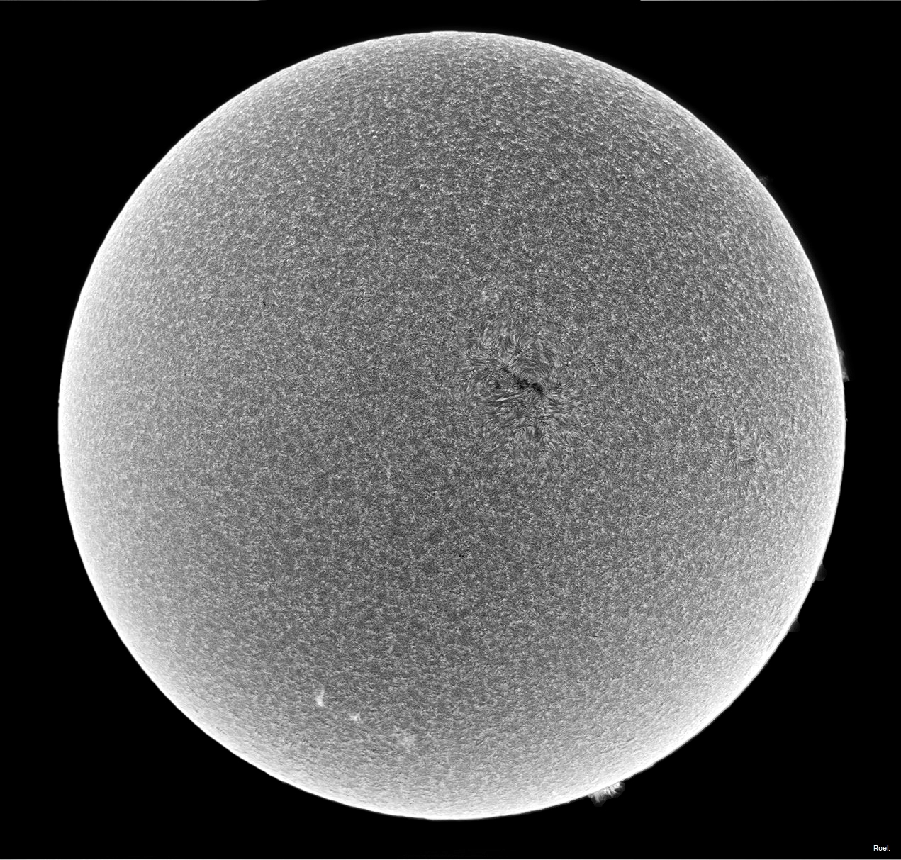 Sol del 14 de mayo de 2018-Solarmax 90-DS-BF30-2inv.jpg