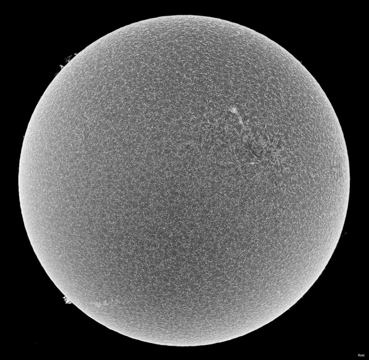 Sol del 27 de junio de 2018-Solarmax 90-DS-BF30-2inv.jpg