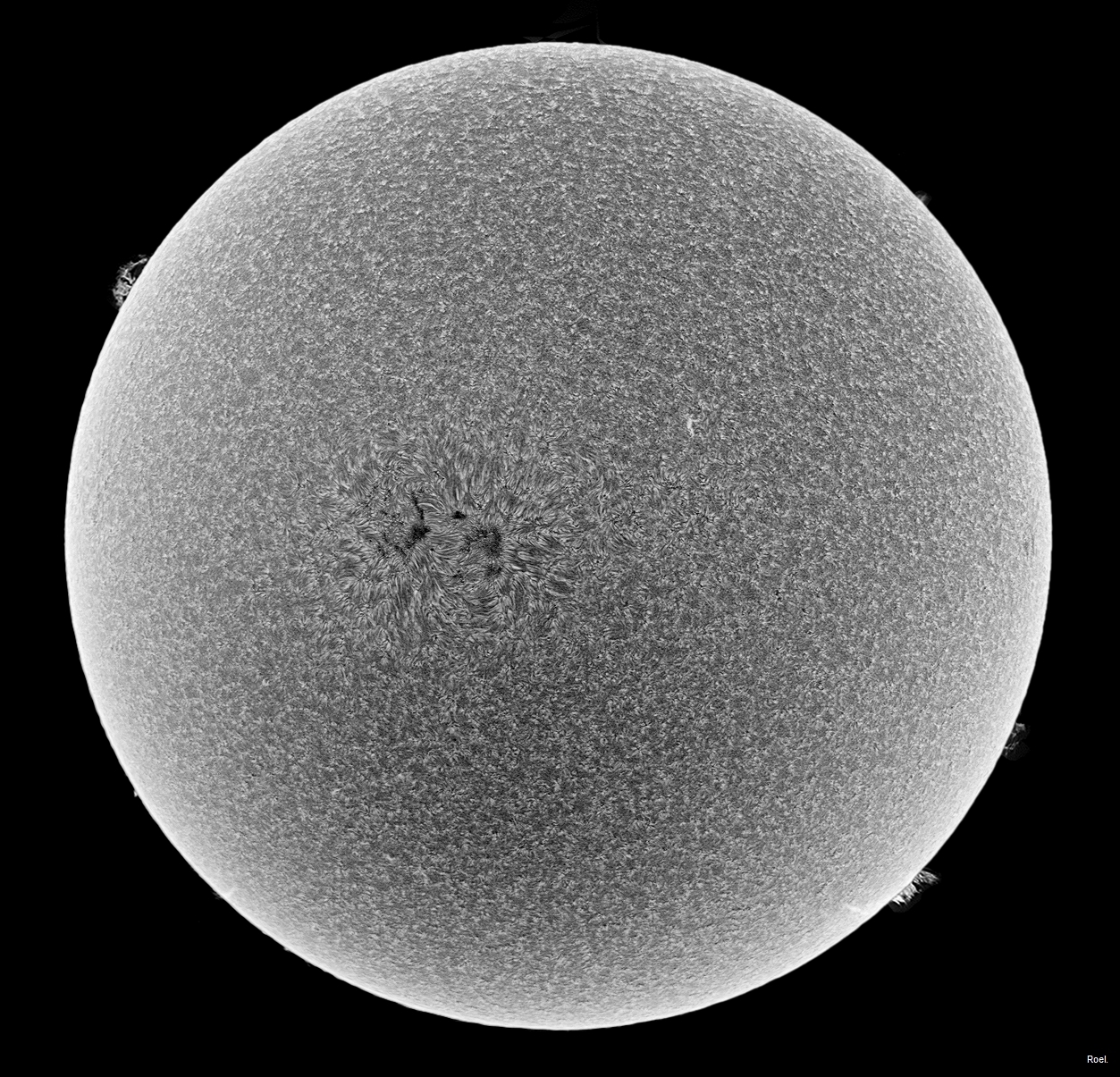 Sol del 13 de julio de 2018-Solarmax 90-DS-BF30-1inv.jpg
