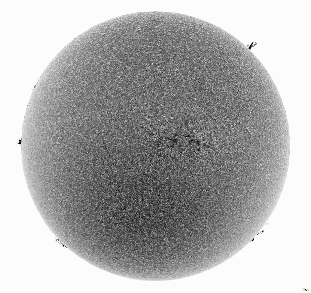 Sol del 15 de julio de 2018-Solarmax 90-DS-BF30-2neg.jpg