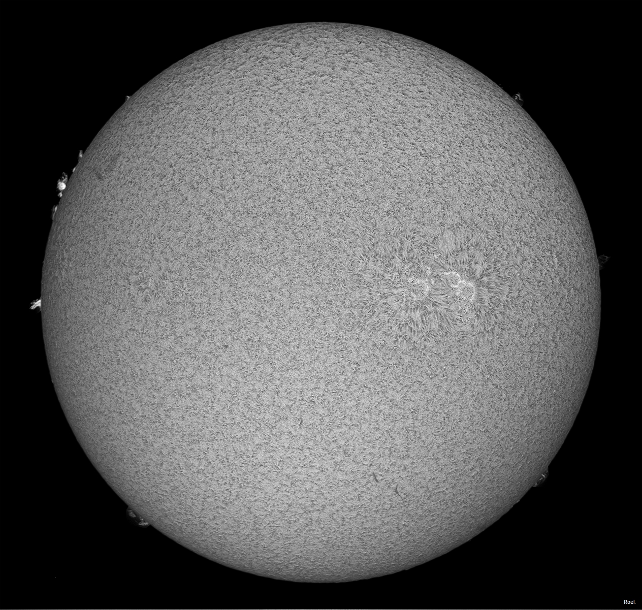 Sol del 16 de julio de 2018-Solarmax 90-DS-BF30-1an.jpg