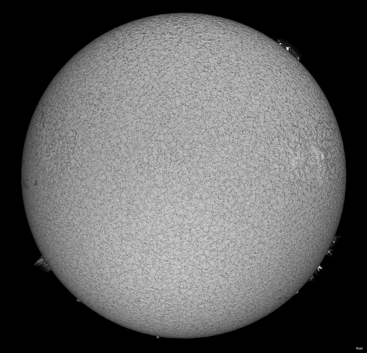 Sol del 18 de julio de 2018-Solarmax 90-DS-BF30-1an.jpg