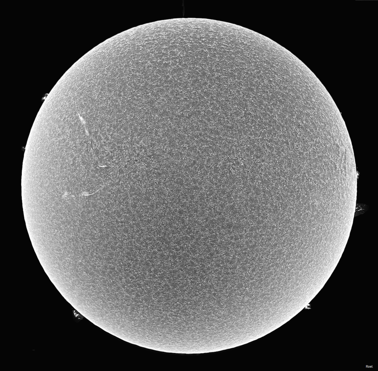 Sol del 20 de julio de 2018-Solarmax 90-DS-BF30-1inv.jpg