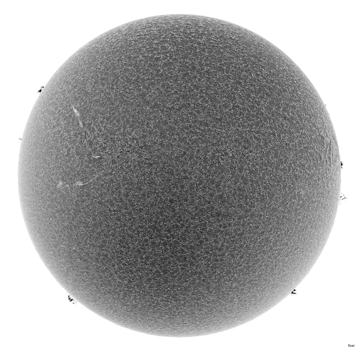 Sol del 20 de julio de 2018-Solarmax 90-DS-BF30-1neg.jpg
