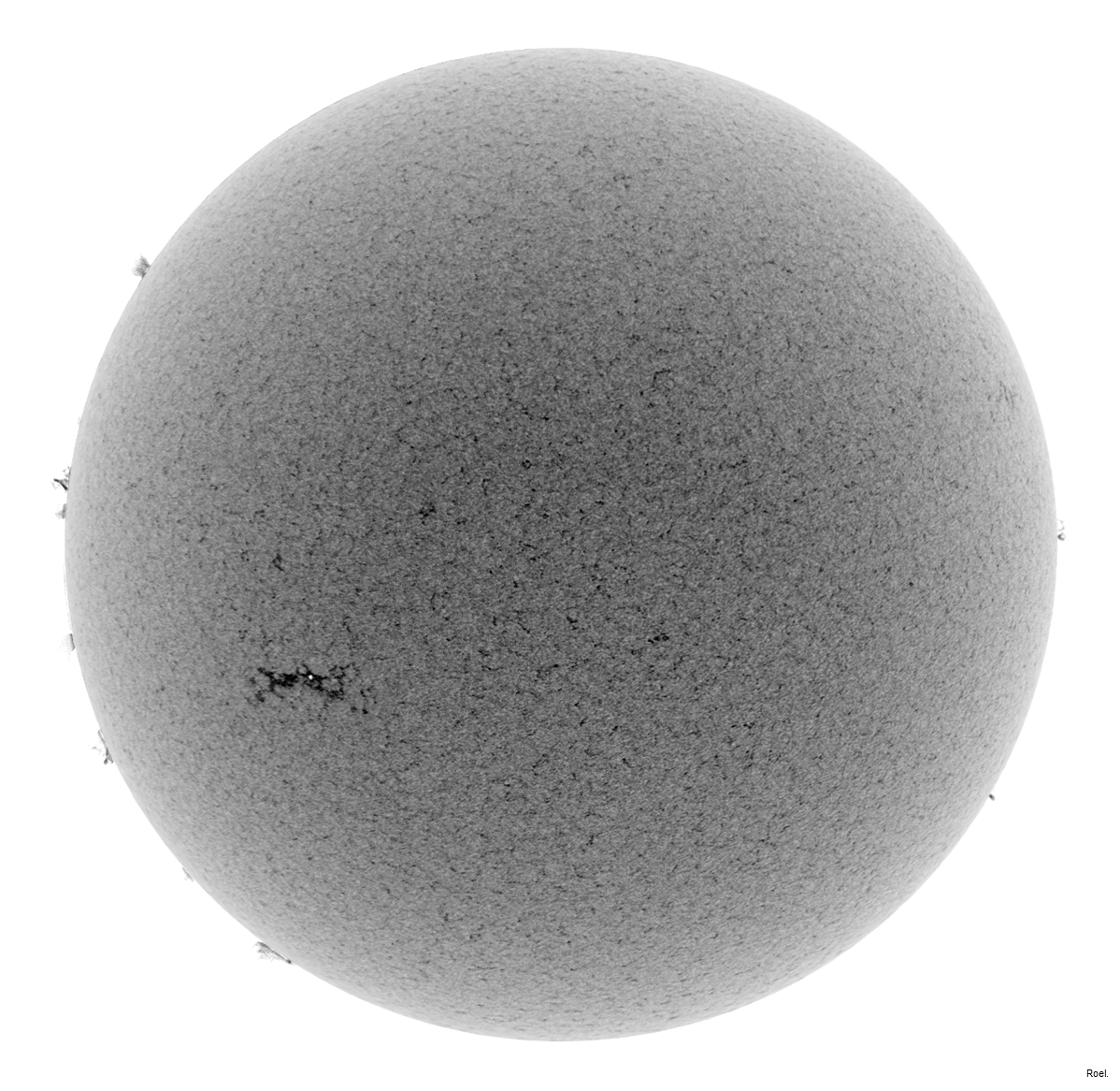 Sol del 1 de agosto del 2018-Meade-CaK-PSTmod-2neg.jpg