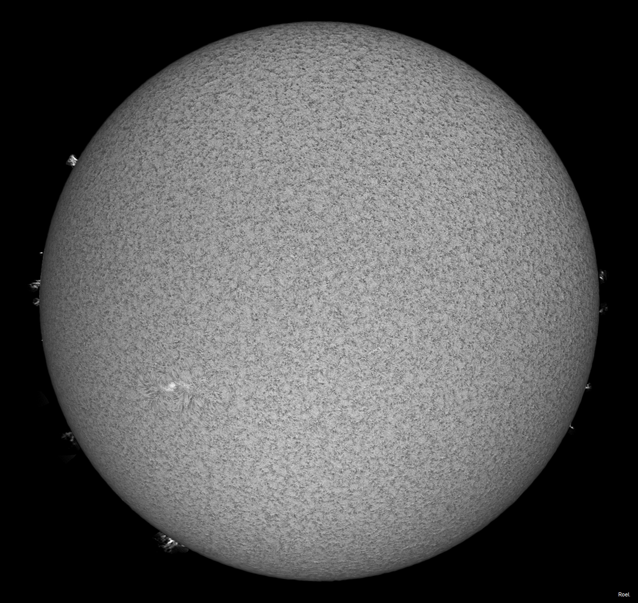 Sol del 1 de agosto del 2018-Solarmax 90-DS-BF30-1an.jpg