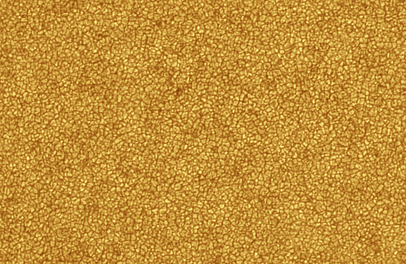 Granulation 1color..png