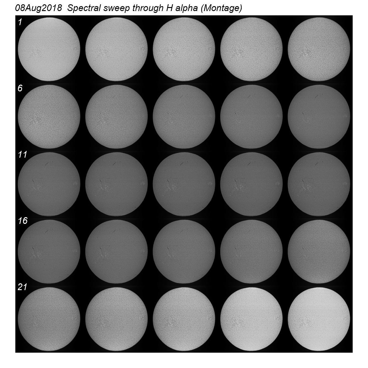 2018-08-08-083838-10xx_flat-div_skew-corr_Montage_01-25_siz_lbls.png