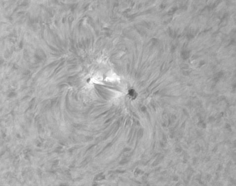 2018-11-17-1254-RB-Halpha-AR12727.jpg