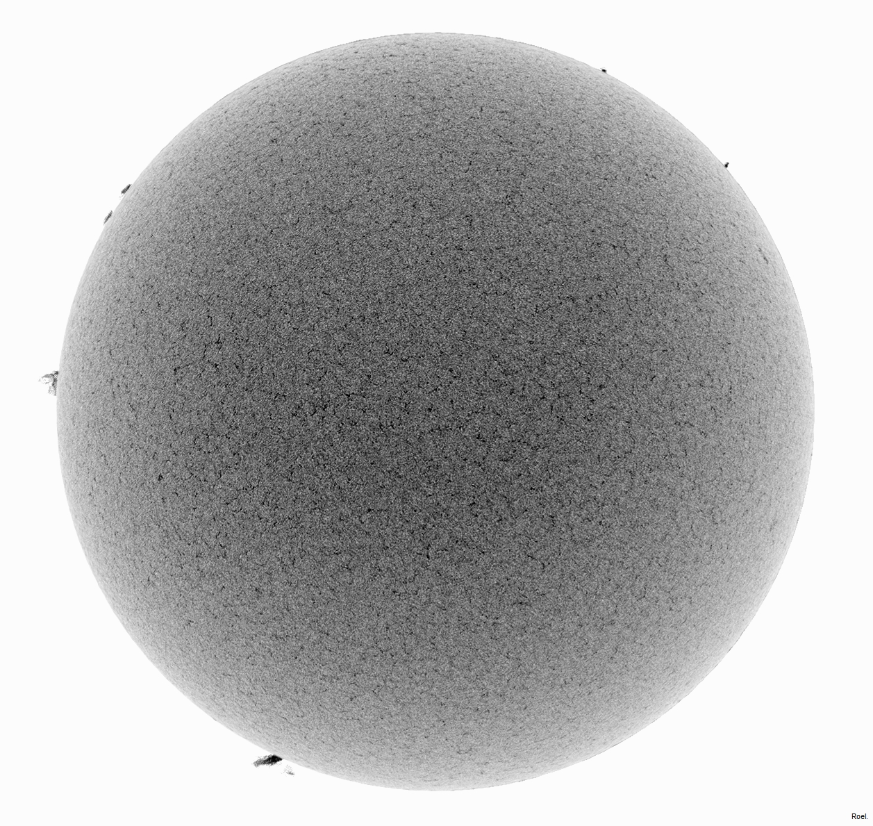 Sol de 23 de noviembre del 2018-Meade-CaK-PSTmod-1neg.jpg