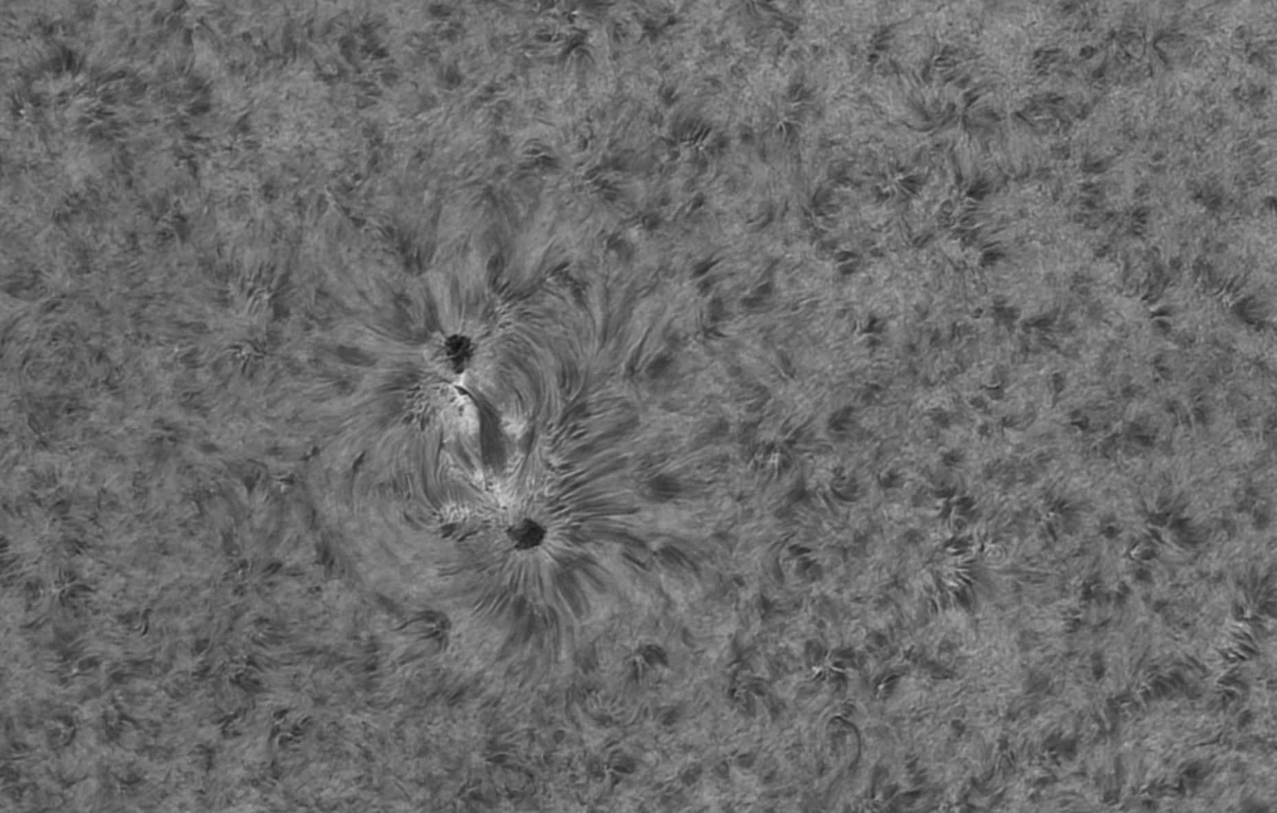 AR2723.jpg