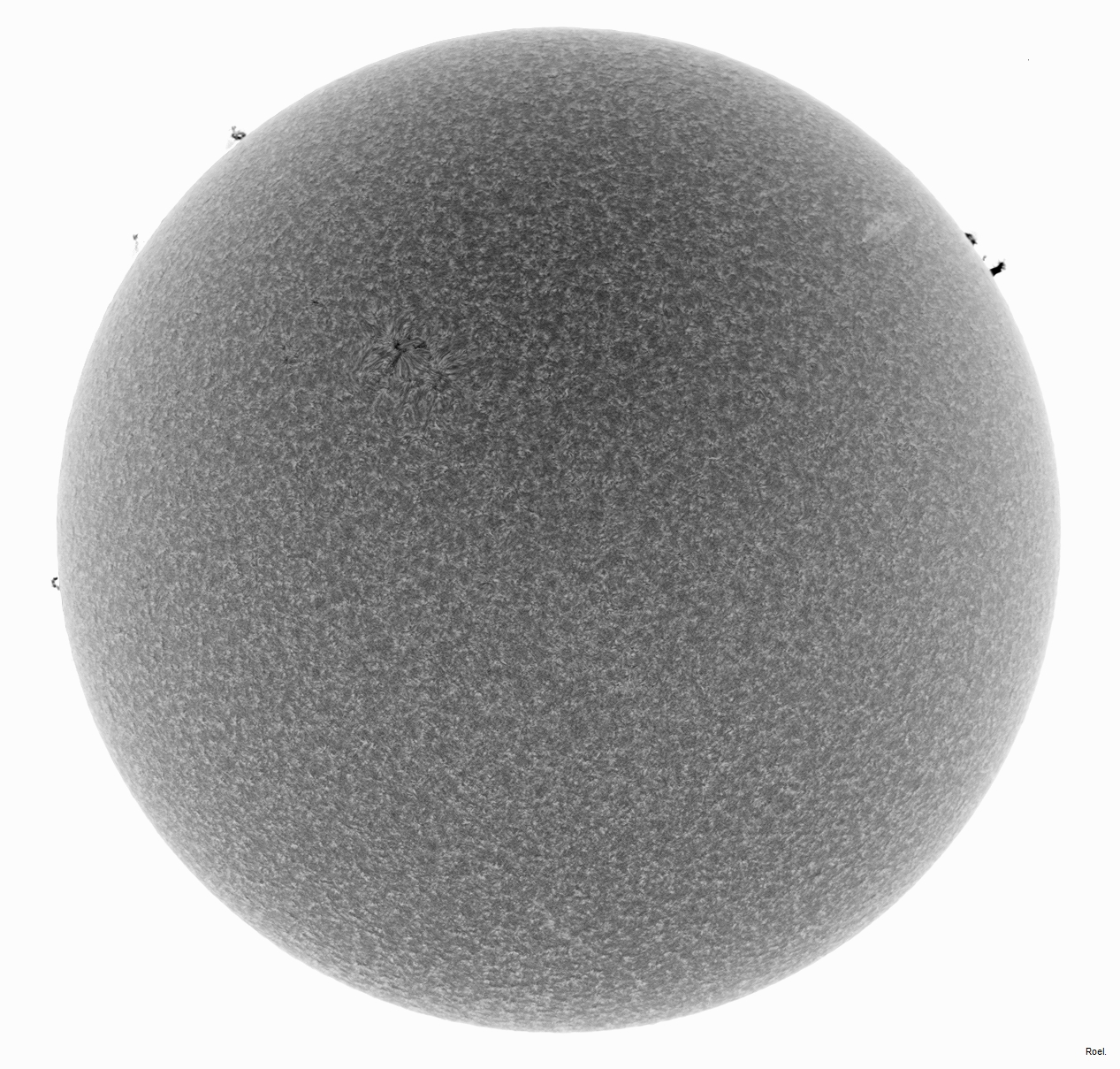 Sol del 5 de febrero del 2019-Solarmax 90-DS-BF30-1neg.jpg