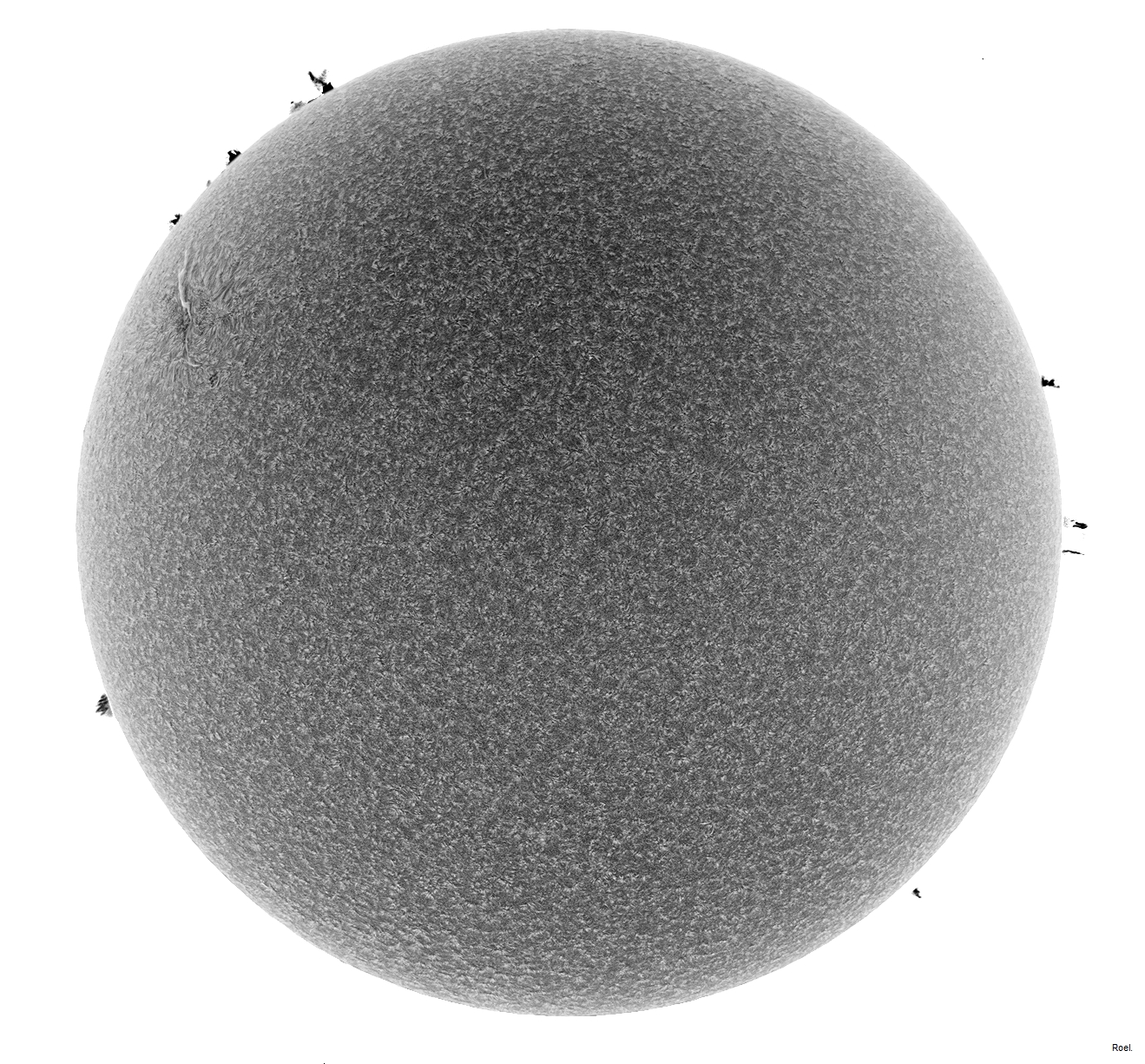 Sol del 15 de febrero del 2019-Solarmax 90-DS-BF30-2neg.jpg