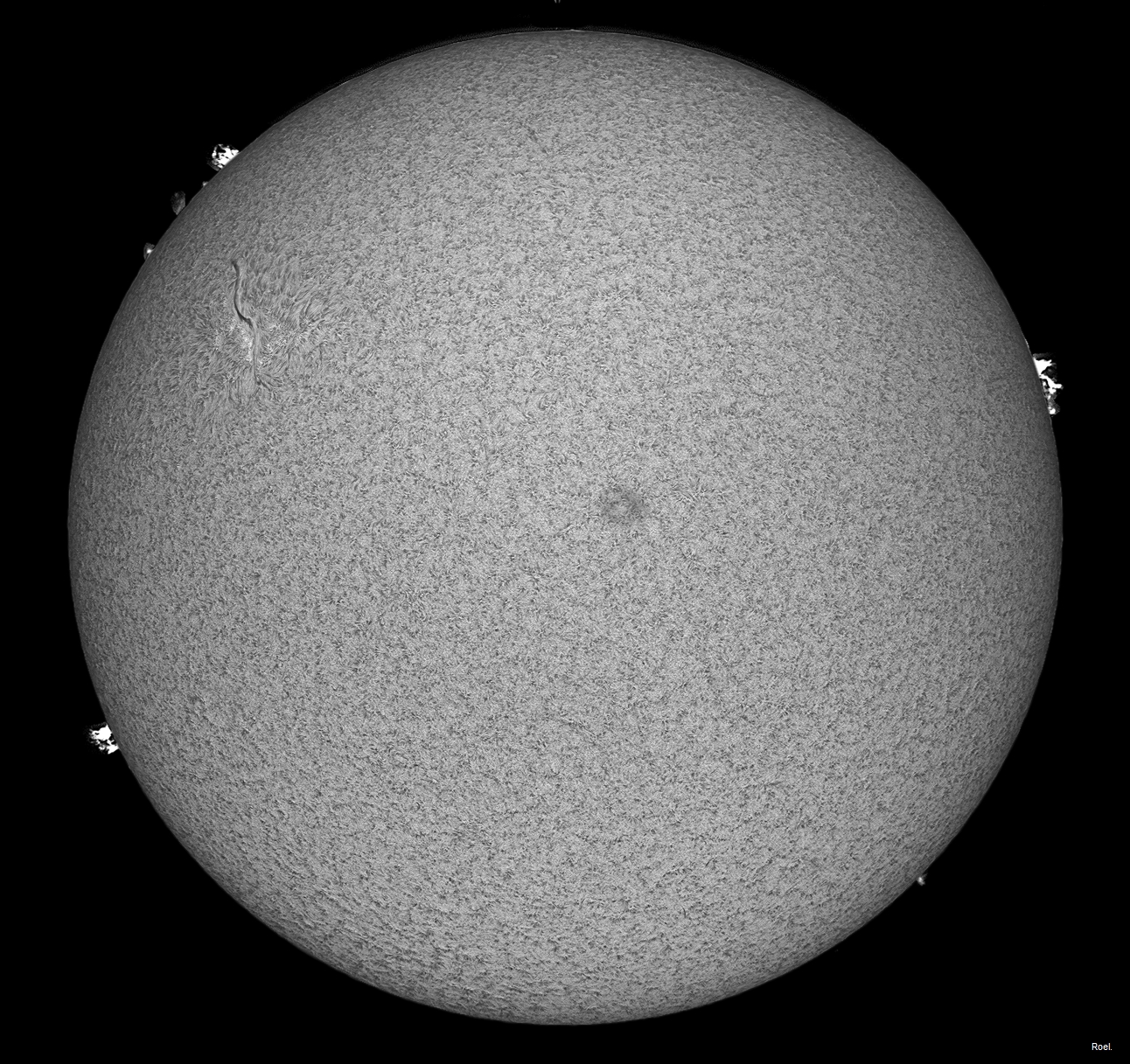 Sol del 16 de febrero del 2019-Solarmax 90-DS-BF30-2an.jpg