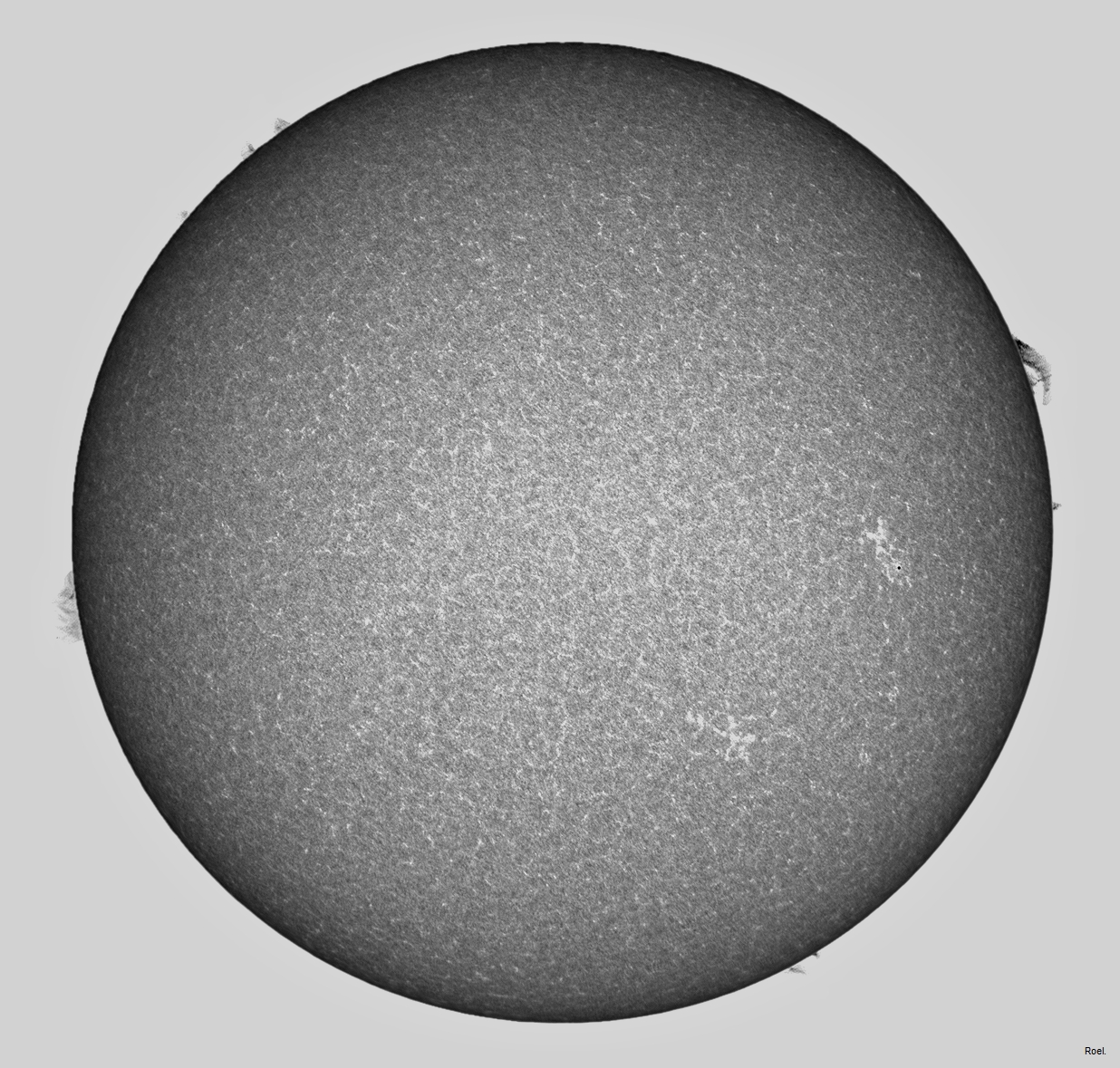 Sol del 10 de marzo del 2019-Meade-CaK-PSTmod-2inv-neg.jpg