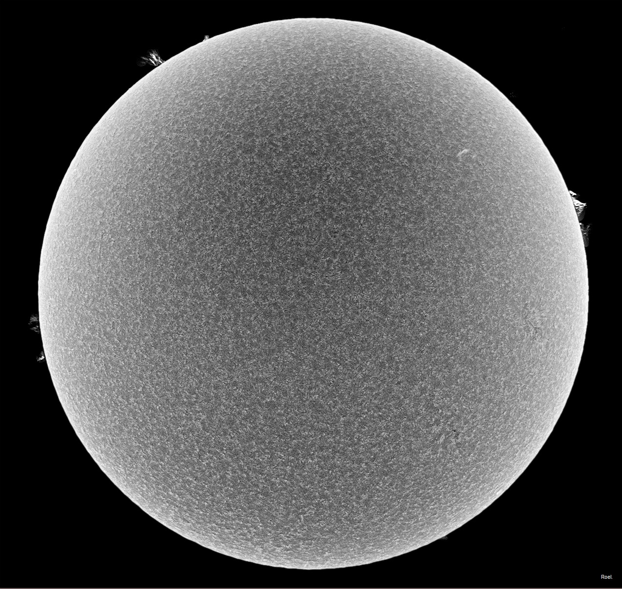Sol del 11 de marzo del 2019-Solarmax 90-DS-BF30-1inv.jpg