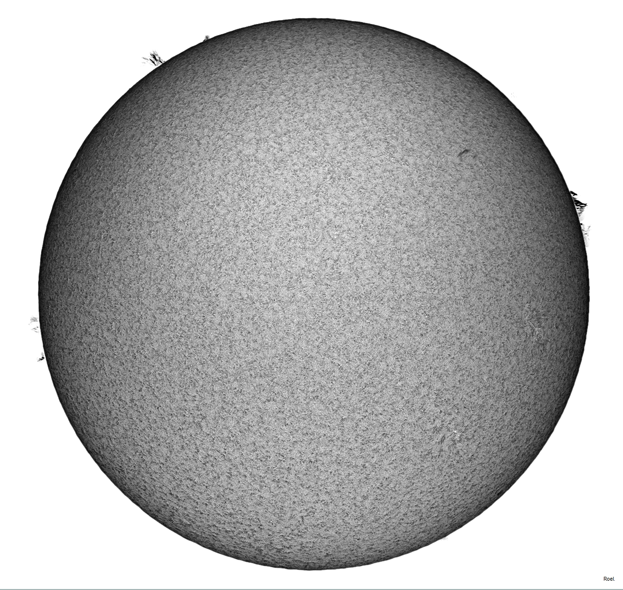 Sol del 11 de marzo del 2019-Solarmax 90-DS-BF30-1inv-neg.jpg