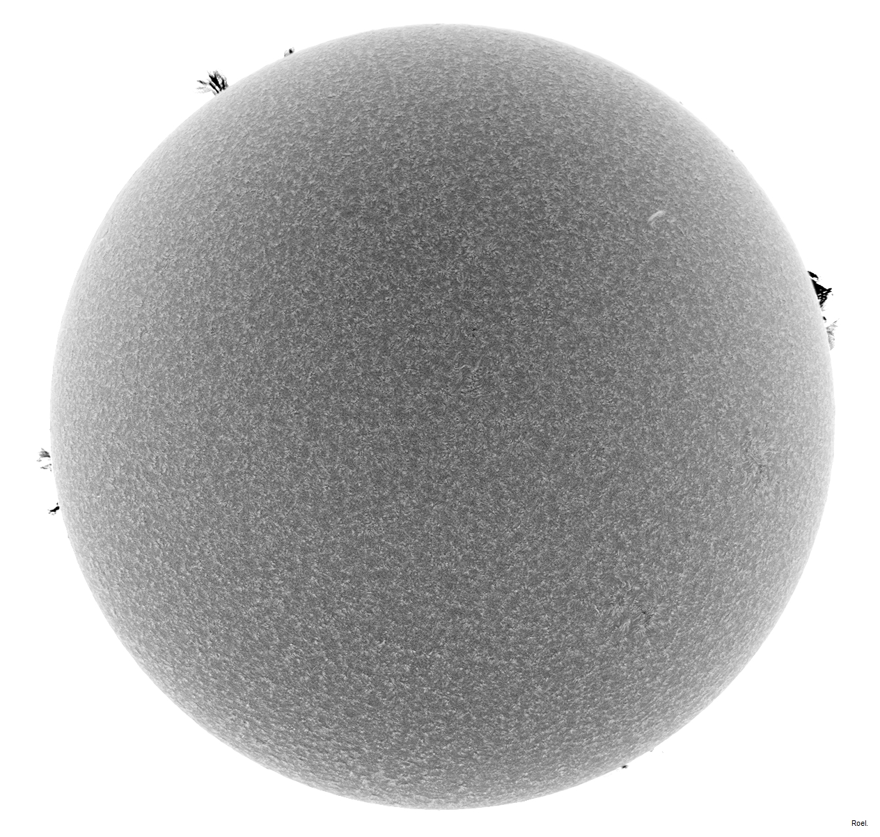 Sol del 11 de marzo del 2019-Solarmax 90-DS-BF30-2neg.jpg