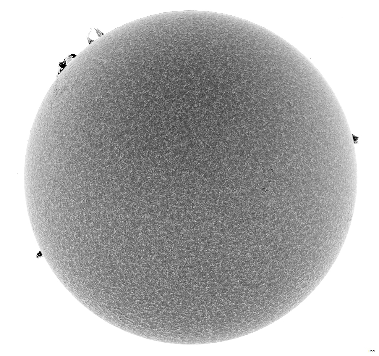 Sol del 13 de marzo del 2019-Solarmax 90-DS-BF30-1neg.jpg