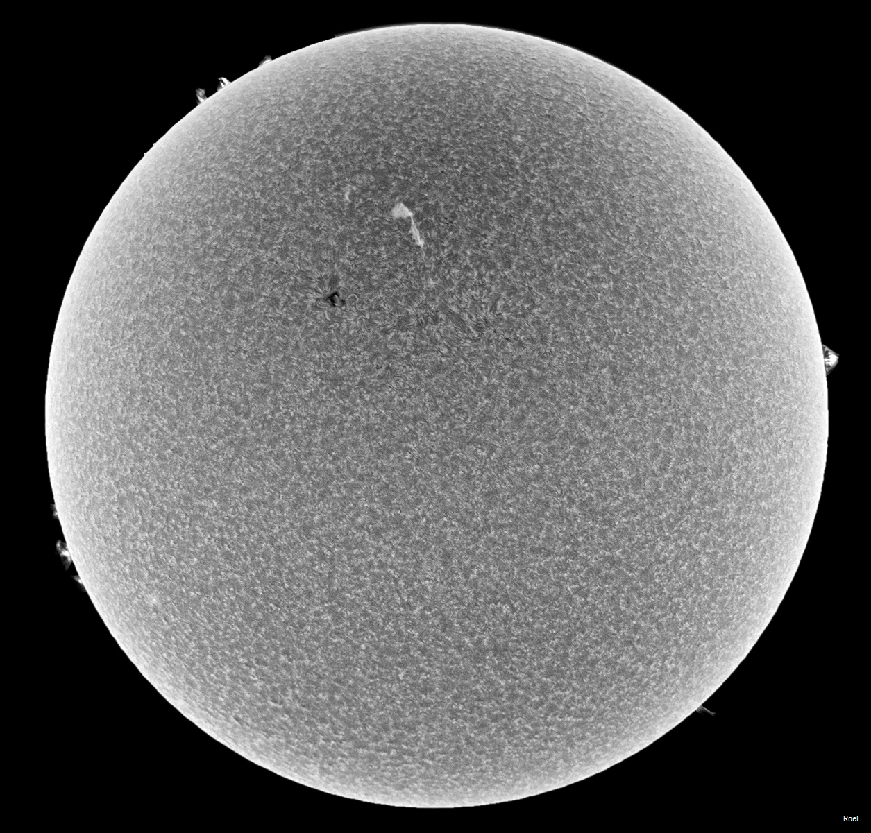 Sol del 18 de marzo del 2019-Solarmax 90-DS-BF30-1inv.jpg