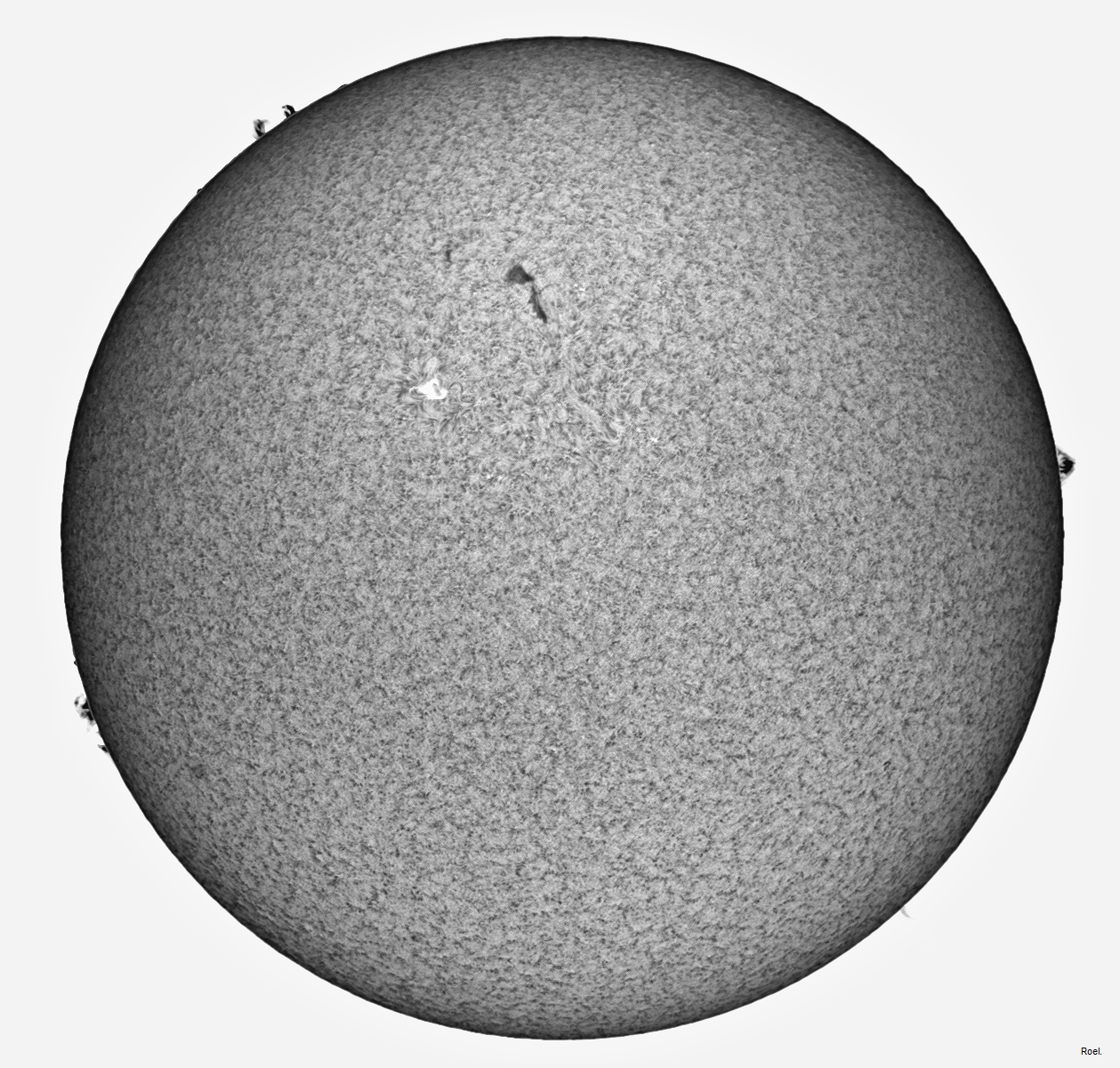 Sol del 18 de marzo del 2019-Solarmax 90-DS-BF30-2inv-neg.jpg