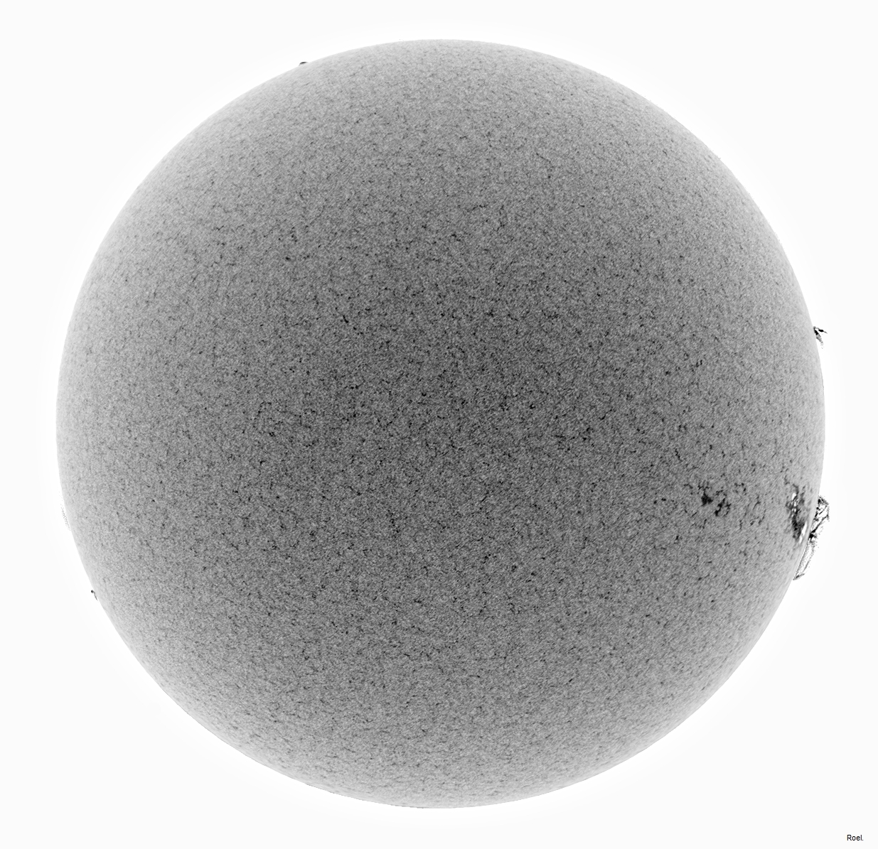 Sol del 23 de marzo del 2019-Meade-CaK-PSTmod-2neg.jpg