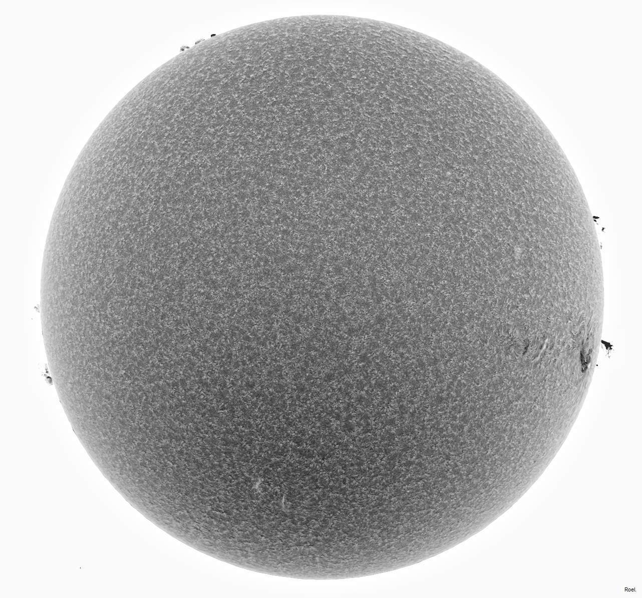 Sol del 23 de marzo del 2019-Solarmax 90-DS-BF30-1neg.jpg
