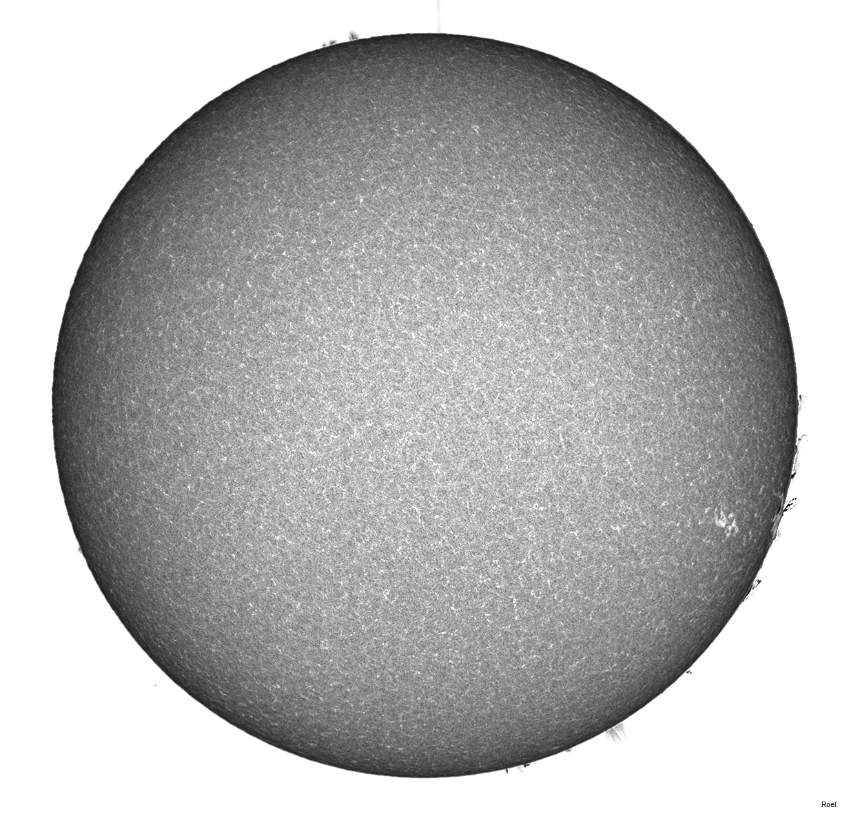 Sol del 24 de marzo del 2019-Meade-CaK-PSTmod-1inv-neg.jpg
