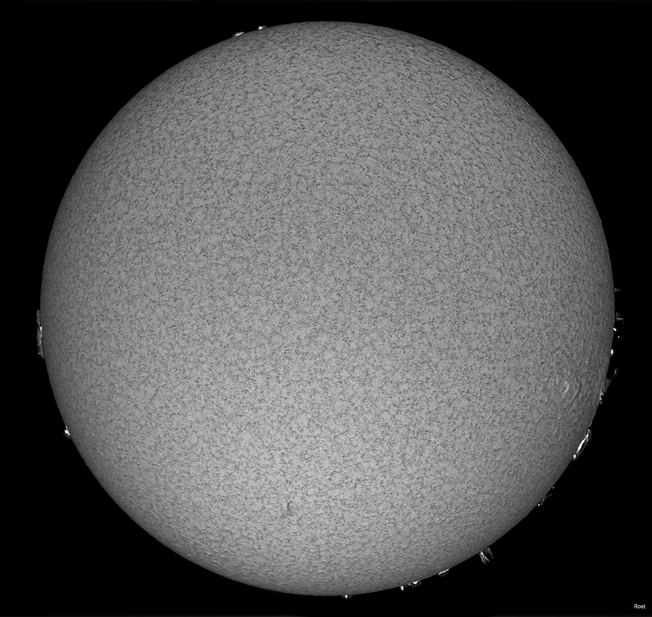 Sol del 24 de marzo del 2019-Solarmax 90-DS-BF30-1an.jpg