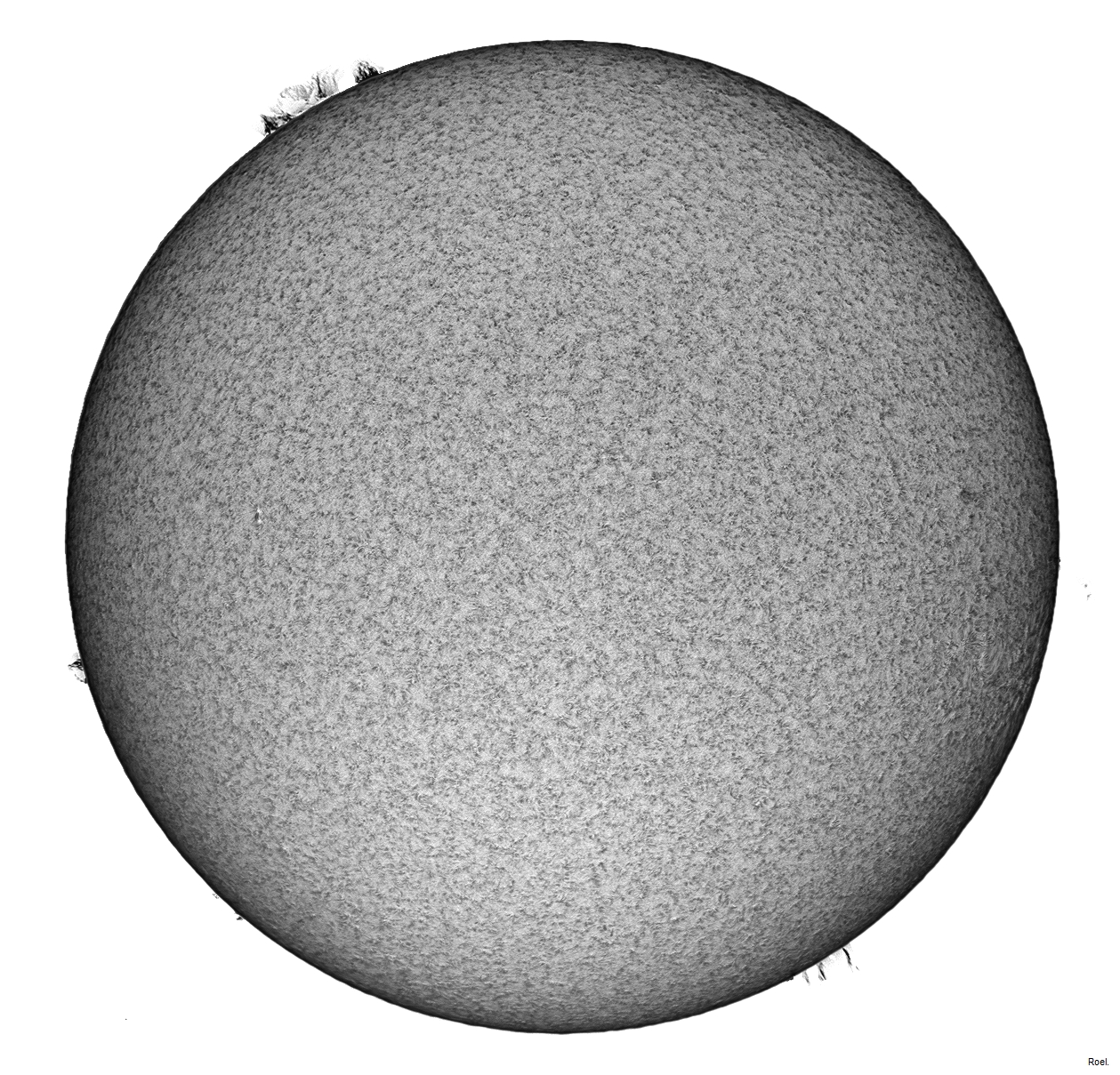 Sol del 20 de abril del 2019-Solarmax 90-DS-BF30-2inv-neg.jpg