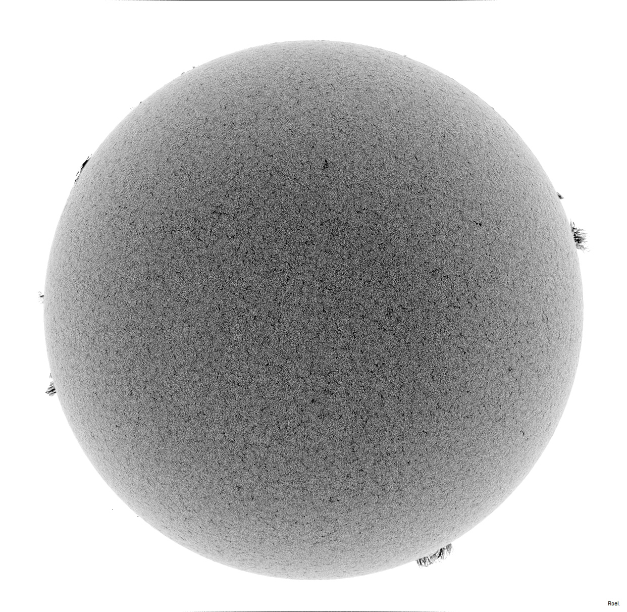 Sol del 3 de mayo del 2019-Meade-CaK-PSTmod-2neg.jpg