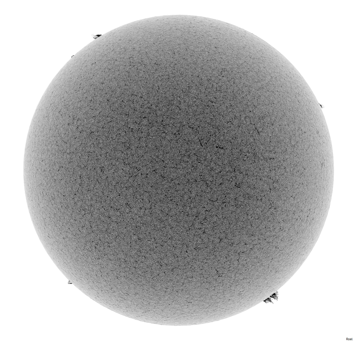 Sol del 20 de mayo del 2019-Meade-CaK-PSTmod-1neg.jpg