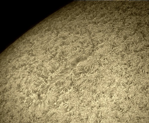 sun surface filament NE 1230 imppg histo rsz 600.jpg