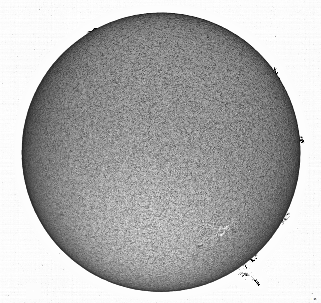 Sol del 12 de junio del 2020-Solarmax 90-DS-BF30-2pos-neg.jpg