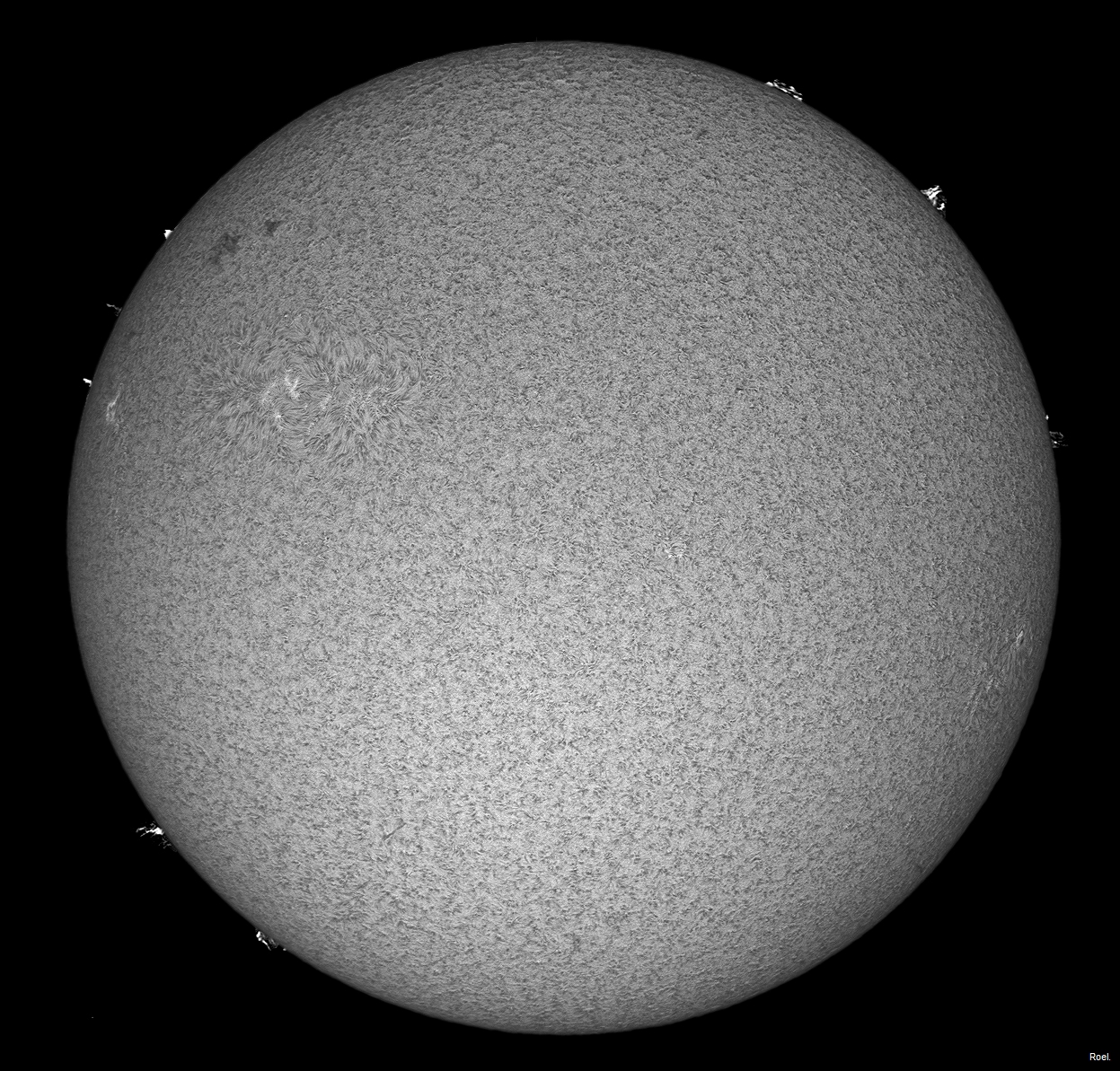 Sol del 1 de agosto del 2020-Solarmax 90-DS-BF30-1pos.jpg