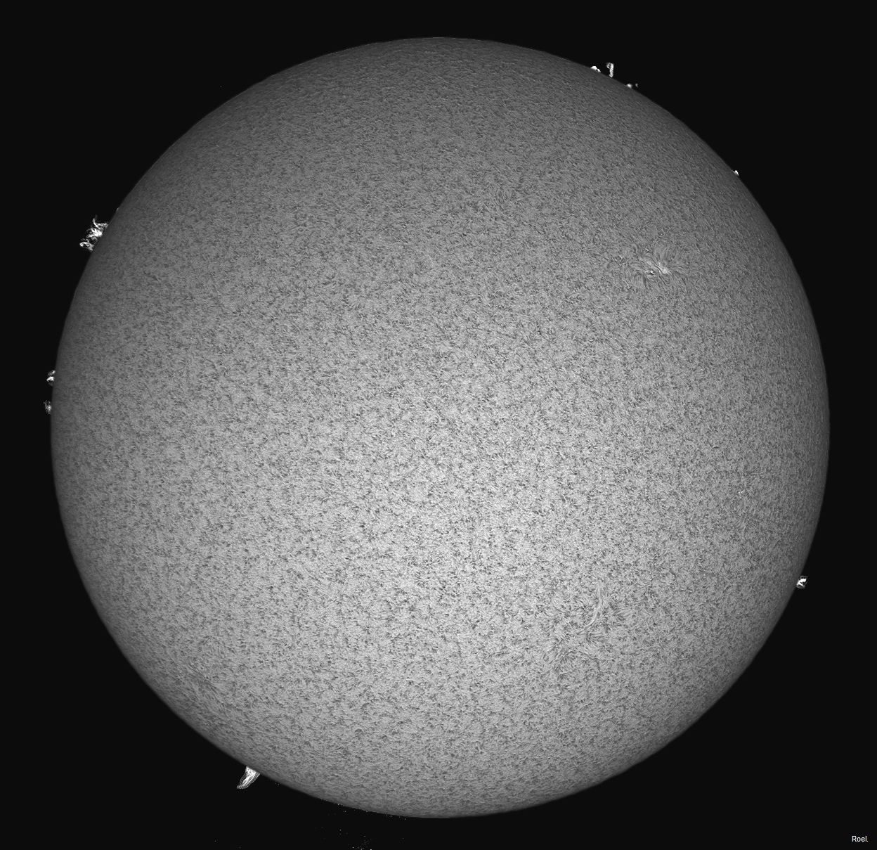 Sol del 19 de agosto del 2020-Solarmax 90-DS-BF30-1pos.jpg