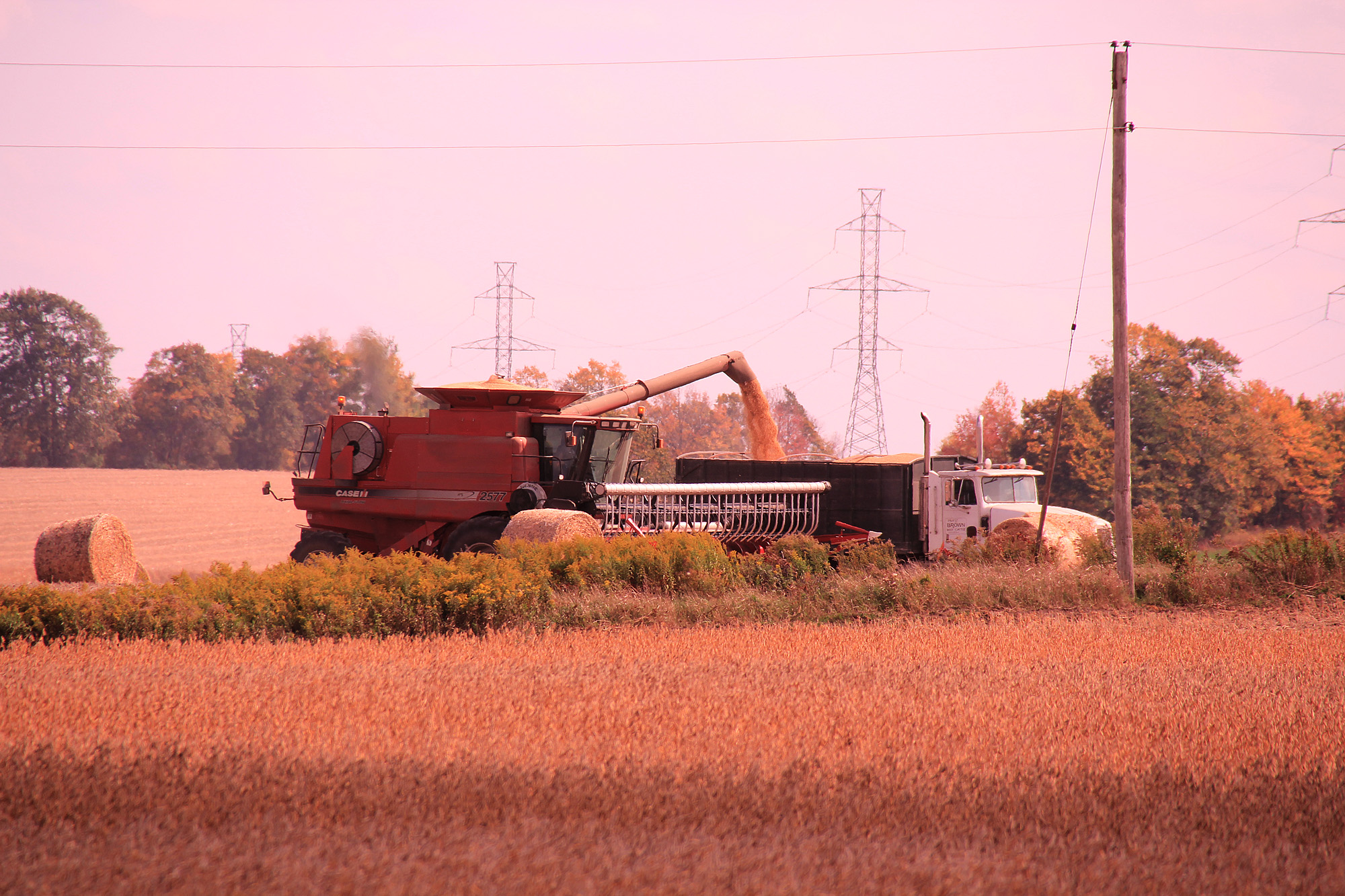 Soybean_Harvest-2.jpg