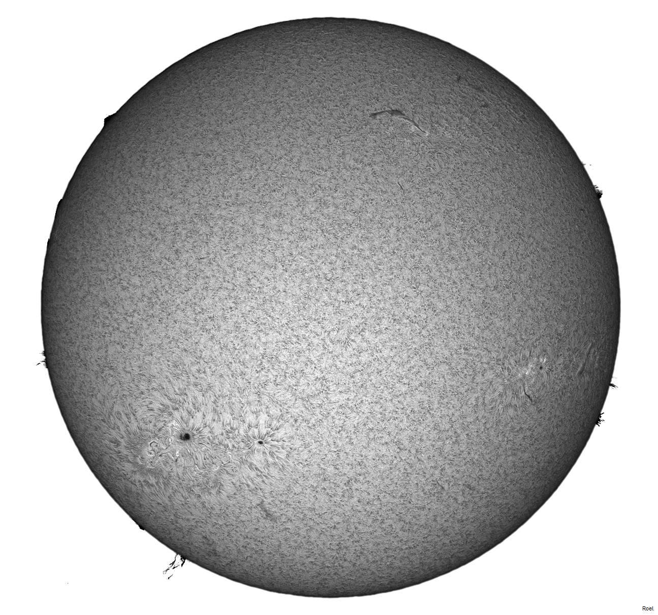 Sol del 26 de noviembre del 2020-Solarmax 90-DS-BF30-1a-pos-neg.jpg