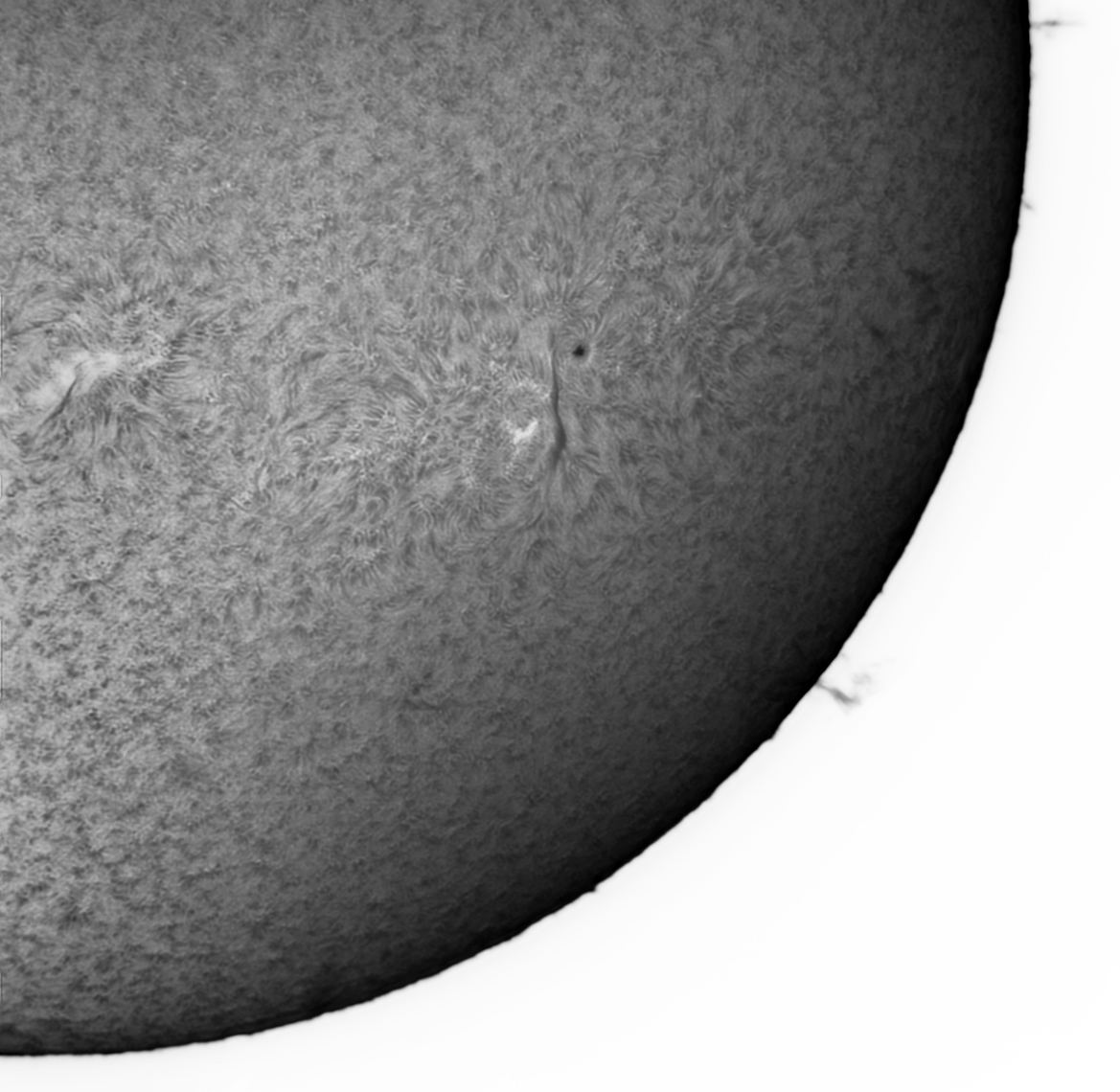 AR2786.jpg