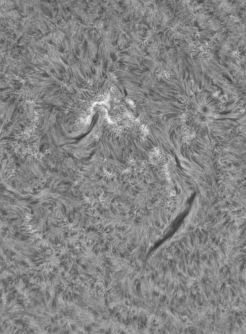 051737_20210123_Sun_L_pipp_lapl6_ap135_processed_mono.png