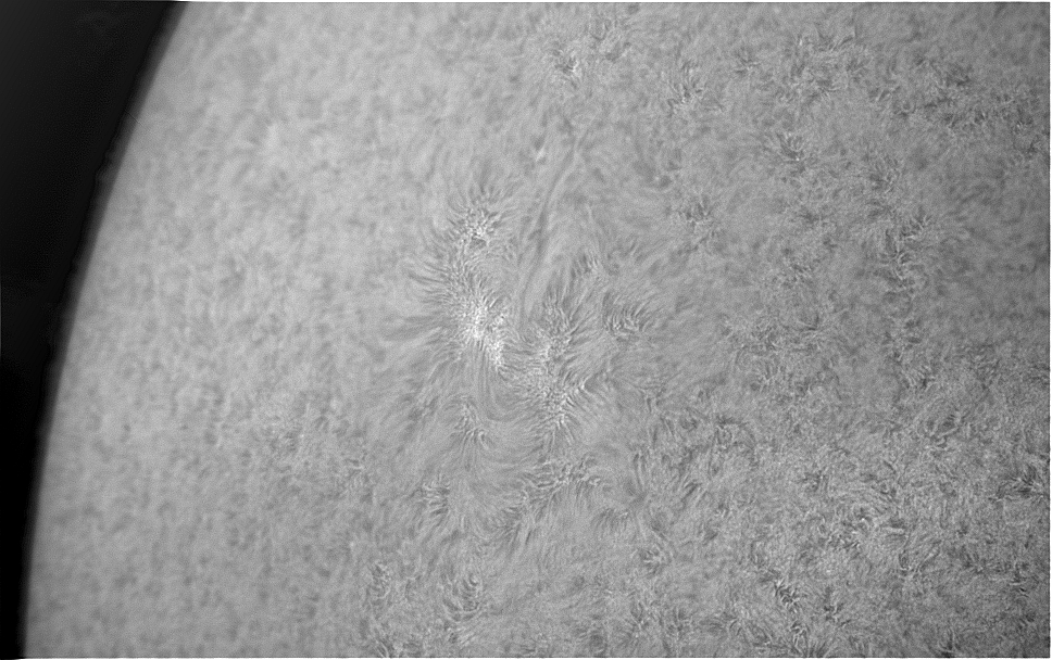 2021-03-29-1527_3-Sun Surface AR 174 Bin 2.jpg