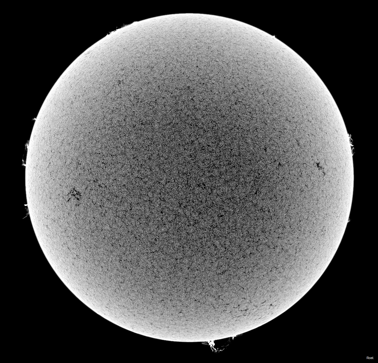 Sol del 5 de abril del 2021-Meade-CaK-PSTmod-1neg-pos.jpg