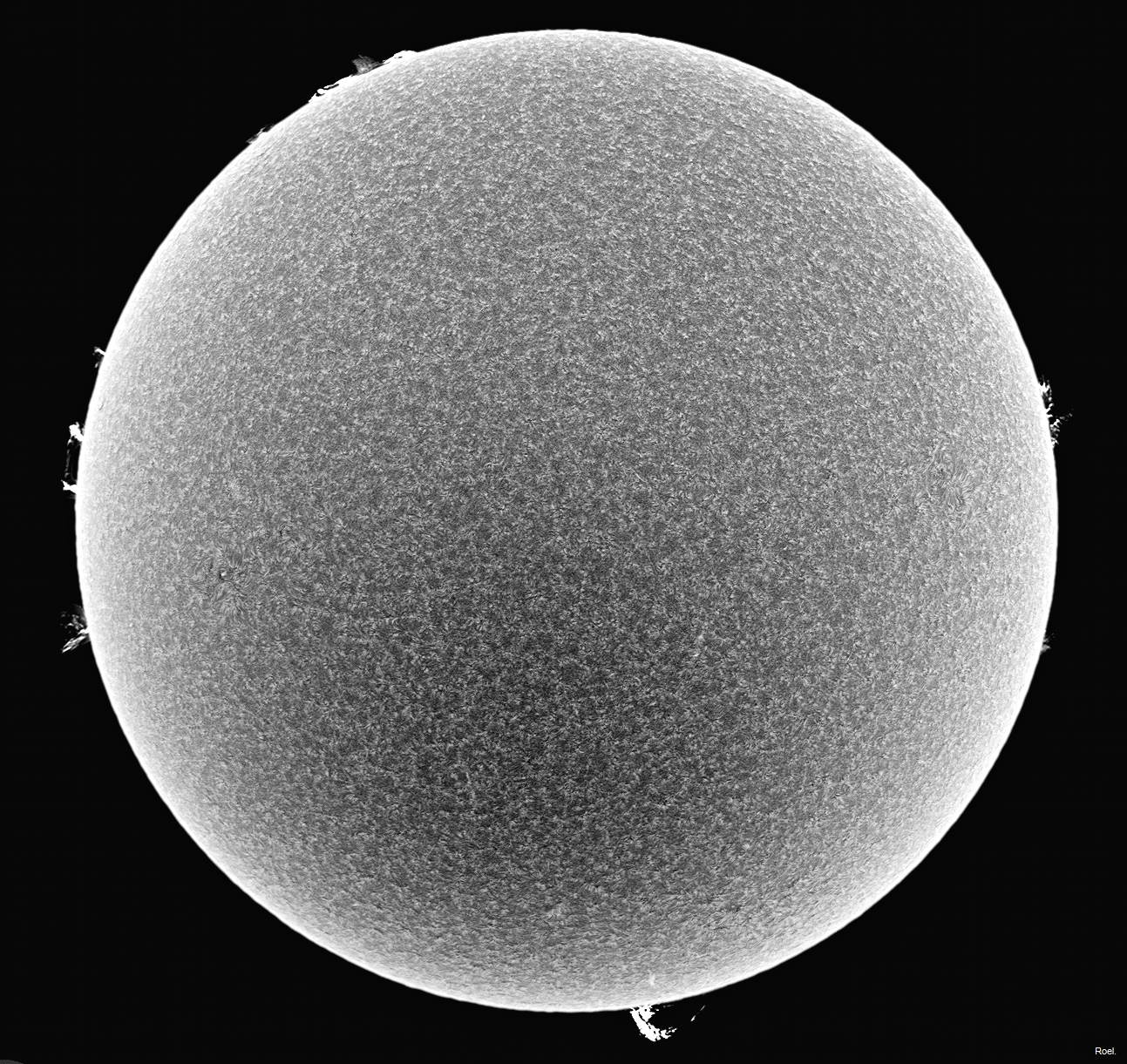 Sol del 5 de abril del 2021-Solarmax 90-DS-BF30-1neg-pos.jpg