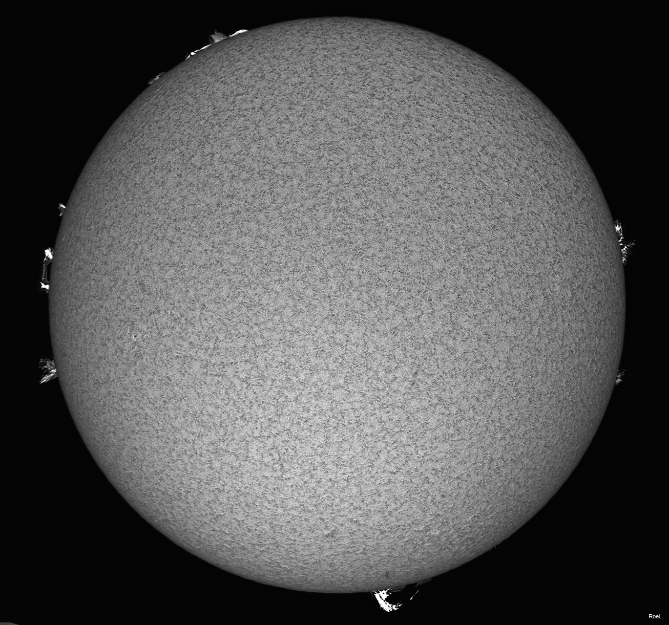 Sol del 5 de abril del 2021-Solarmax 90-DS-BF30-1pos.jpg